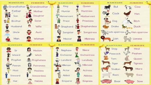 Gender of Nouns in English Grammar 商品图0