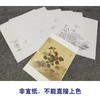 余省工笔花鸟画白描底稿海西集卉册小品一套六幅册页初学者尺寸40*42厘米MT22 商品缩略图3
