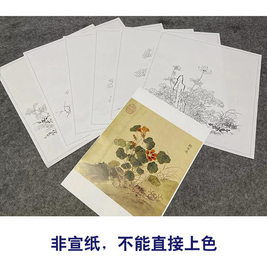 余省工笔花鸟画白描底稿海西集卉册小品一套六幅册页初学者尺寸40*42厘米MT22 商品图3