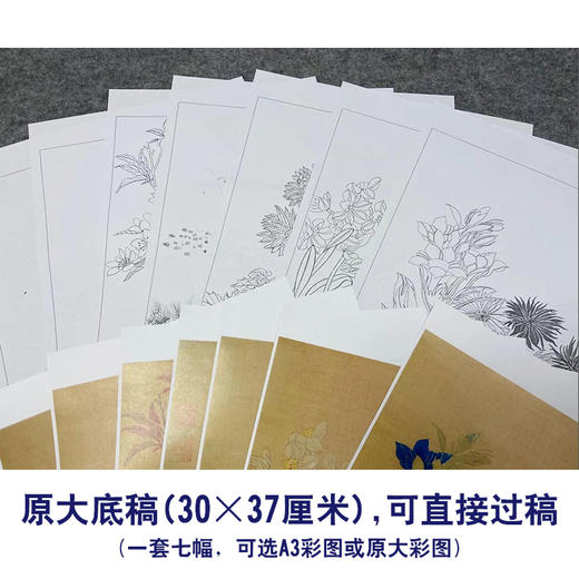 马元骏工笔花鸟画白描底稿花卉图册小品一套七幅册页初学者尺寸30*37厘米MT14 商品图2