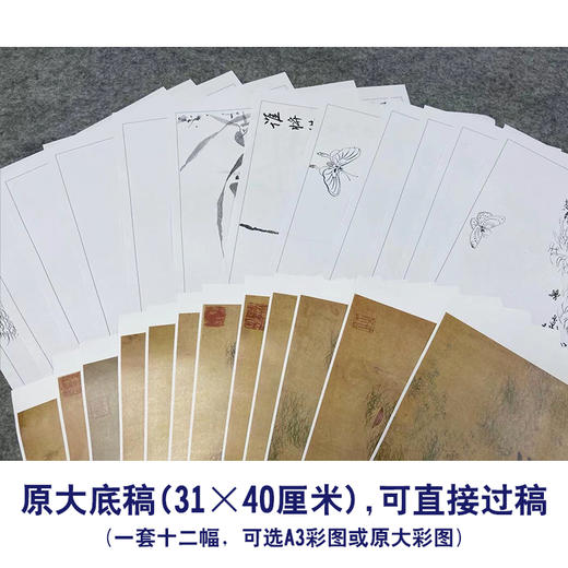吴淑兰工笔花鸟画白描底稿蝴蝶草虫图册小品一套十二幅册页尺寸31*40厘米MT17 商品图2