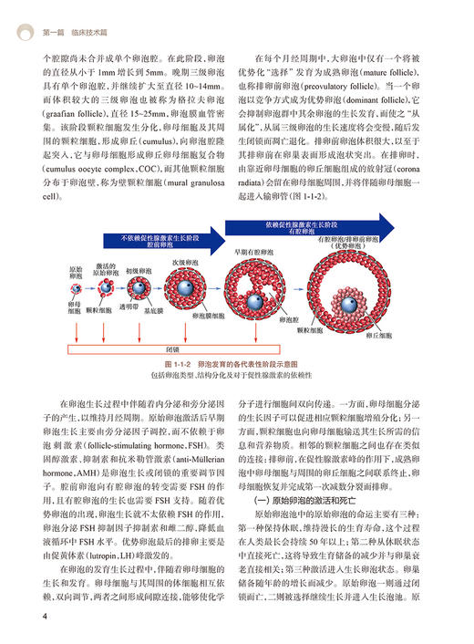 辅助生殖技术 黄国宁 孙莹璞 孙海翔 编 妇产科学书籍 生殖技术临床实验室伦理及管理和精子库 人民卫生出版社9787117323307 商品图4