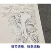 陈牧工笔画白描底稿四季花鸟图屏一套八幅册页尺寸41*138厘米MT24 商品缩略图3