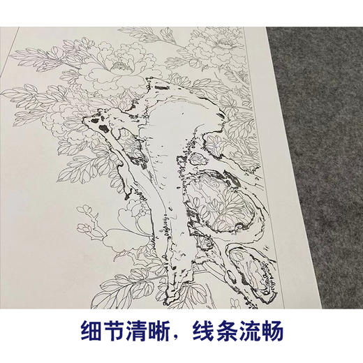 陈牧工笔画白描底稿四季花鸟图屏一套八幅册页尺寸41*138厘米MT24 商品图3