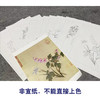 蒋廷锡工笔花鸟画白描底稿设色勾染图册小品一套十二幅册页尺寸30*36厘米MT11 商品缩略图2