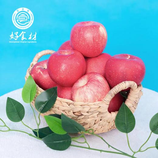 CY-洛川苹果大果 商品图0