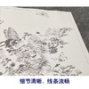 吴淑兰工笔花鸟画白描底稿蝴蝶草虫图册小品一套十二幅册页尺寸31*40厘米MT17 商品缩略图4