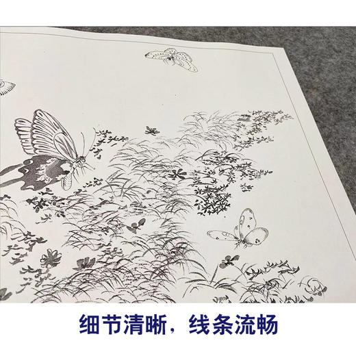 吴淑兰工笔花鸟画白描底稿蝴蝶草虫图册小品一套十二幅册页尺寸31*40厘米MT17 商品图4