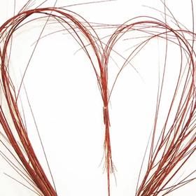 进口-伊朗红柳（80CM）