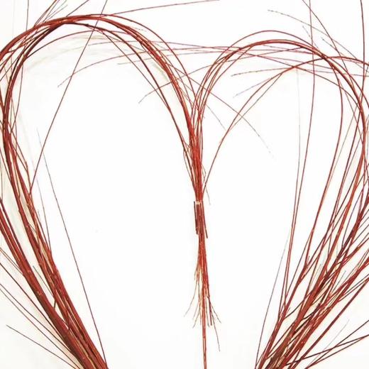 进口-伊朗红柳（80CM） 商品图0