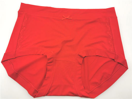 MH竹纤维女士大码内裤32889 商品图0
