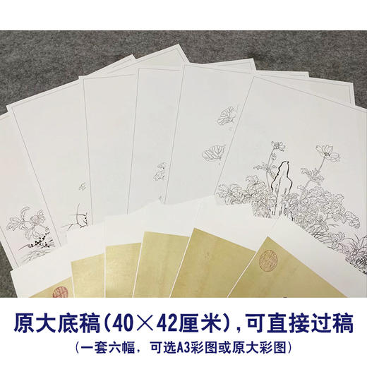 余省工笔花鸟画白描底稿海西集卉册小品一套六幅册页初学者尺寸40*42厘米MT22 商品图2
