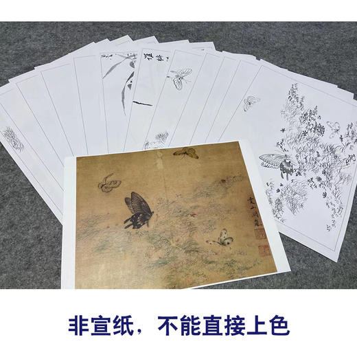 吴淑兰工笔花鸟画白描底稿蝴蝶草虫图册小品一套十二幅册页尺寸31*40厘米MT17 商品图3