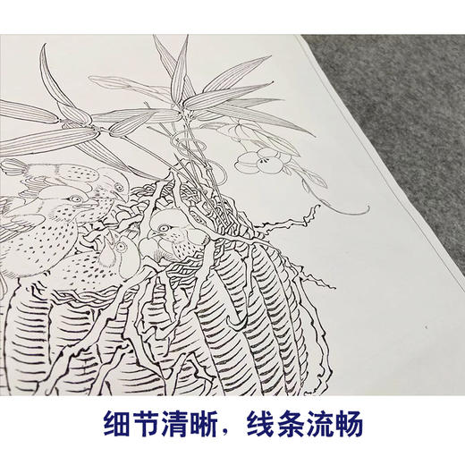汪中工笔花鸟画白描底稿得趣在人小品一套十二幅册页初学者尺寸38*42厘米MT05 商品图4