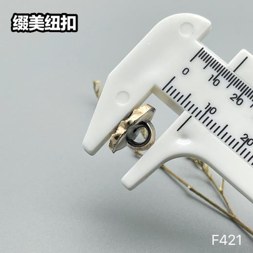 F421(整包购买) 商品图4