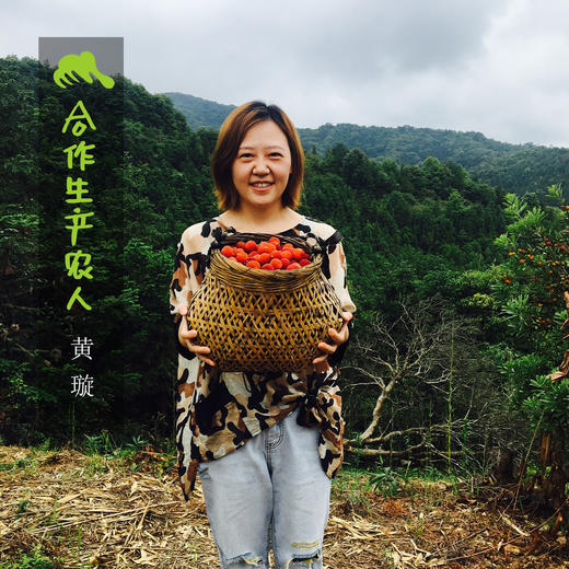 生态酸枣糕 |合作生产*Ecological sour jujube cake | Coproduction 商品图1