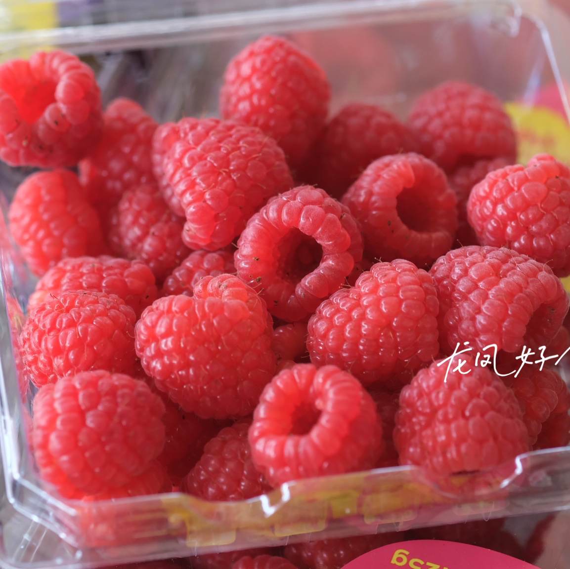 〔上海直发闪送包邮〕Driscolls红树莓/黑树莓（产地云南）只发上海