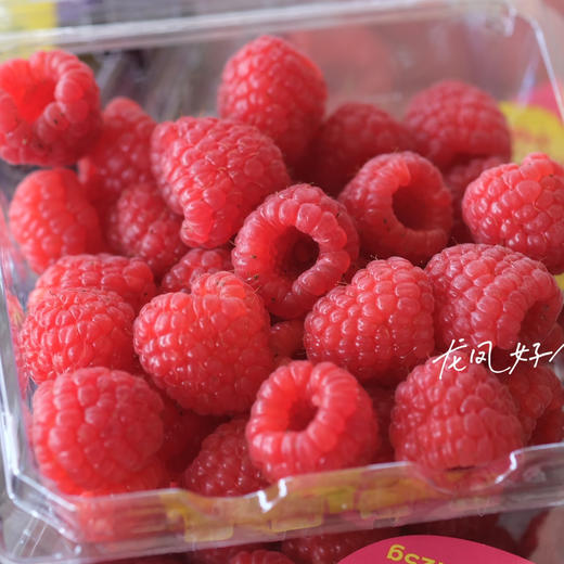 〔上海直发闪送包邮〕Driscolls红树莓/黑树莓（产地云南）只发上海 商品图0