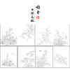 佚名工笔画白描底稿花鸟图册小品一套九幅册页初学者尺寸32*40厘米MT07 商品缩略图1
