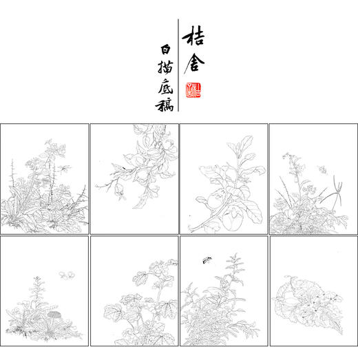 佚名工笔画白描底稿花鸟图册小品一套九幅册页初学者尺寸32*40厘米MT07 商品图1