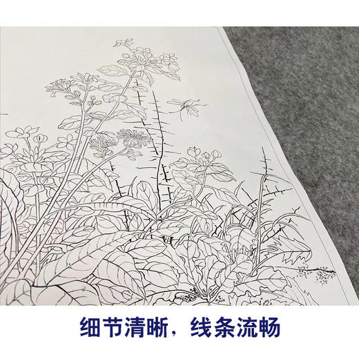 佚名工笔画白描底稿花鸟图册小品一套九幅册页初学者尺寸32*40厘米MT07 商品图4