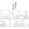 董诰工笔花鸟画白描底稿花卉册页小品一套十二幅册页初学者尺寸40*48厘米MT08 商品缩略图1