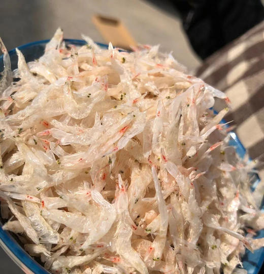 渤海湾出口无盐大虾皮 商品图1