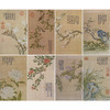 弘历工笔花鸟画白描底稿缂丝御制诗花卉册小品一套八幅册页尺寸30*50厘米MT09 商品缩略图0