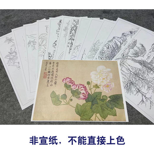 钱维城工笔画白描底稿山水花鸟册小品一套十二幅册页尺寸30*41厘米MT15 商品图2