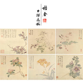 吴玖工笔花鸟画白描底稿花卉图册小品一套七幅册页初学者尺寸37*40厘米MT16
