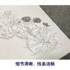 马元骏工笔花鸟画白描底稿花卉图册小品一套七幅册页初学者尺寸30*37厘米MT14 商品缩略图4