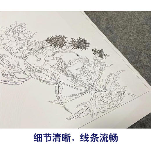 马元骏工笔花鸟画白描底稿花卉图册小品一套七幅册页初学者尺寸30*37厘米MT14 商品图4