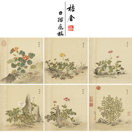 余省工笔花鸟画白描底稿海西集卉册小品一套六幅册页初学者尺寸40*42厘米MT22 商品图0
