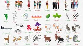 Irregular Plural Nouns in English