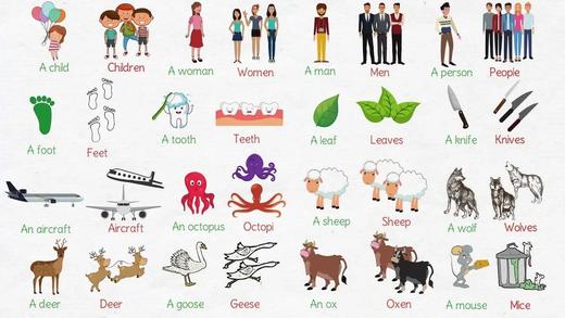 Irregular Plural Nouns in English 商品图0