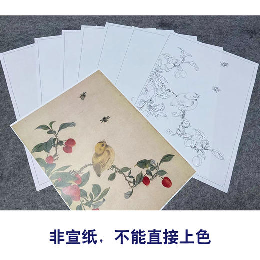 佚名工笔画白描底稿龙忻益斋花鸟画册小品一套七幅册页尺寸30*42厘米MT19 商品图3