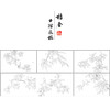 吴璋工笔花鸟画白描底稿折纸果禽图册小品一套八幅册页尺寸30*48厘米MT18 商品缩略图1