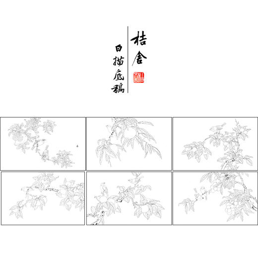 吴璋工笔花鸟画白描底稿折纸果禽图册小品一套八幅册页尺寸30*48厘米MT18 商品图1