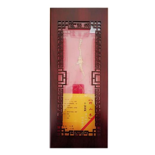 余天成 山参 （七等）买一送一 商品图0