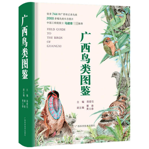 广西鸟类图鉴 系统介绍鸟类知识图书籍 鸟类图鉴鸟类世界鸟类认知 鸟类鉴赏图 华南地区野外观鸟工具书 商品图1