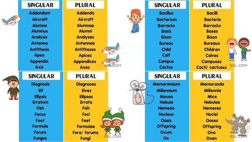 The 110 Most Common Irregular Plurals 商品图0