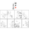 蒋廷锡工笔花鸟画白描底稿设色勾染图册小品一套十二幅册页尺寸30*36厘米MT11 商品缩略图1