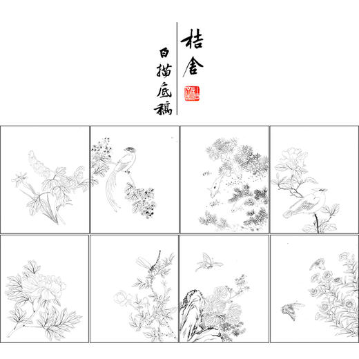 蒋廷锡工笔花鸟画白描底稿设色勾染图册小品一套十二幅册页尺寸30*36厘米MT11 商品图1