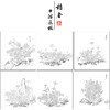 余省工笔花鸟画白描底稿海西集卉册小品一套六幅册页初学者尺寸40*42厘米MT22 商品缩略图1