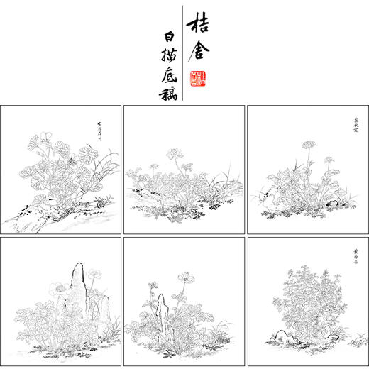 余省工笔花鸟画白描底稿海西集卉册小品一套六幅册页初学者尺寸40*42厘米MT22 商品图1