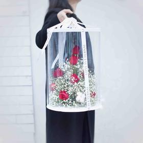 《漫天星辰》满天星红玫瑰透视花盒