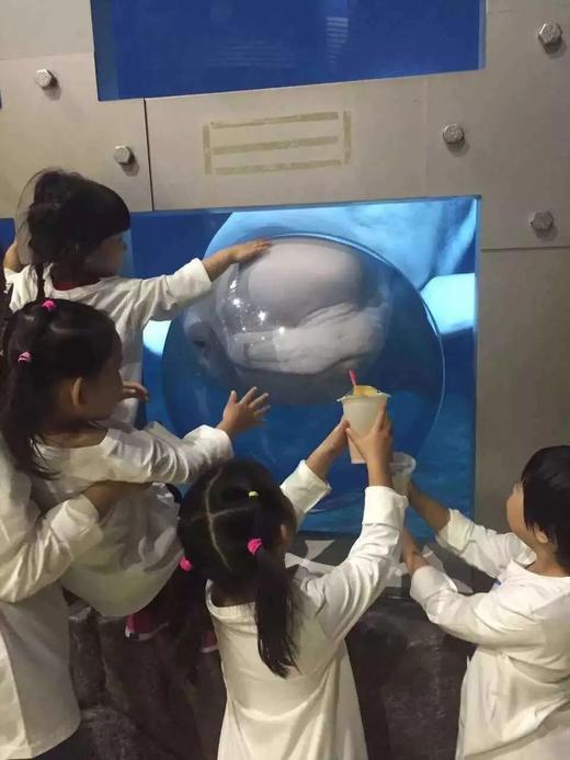 10.25/31/11.15/22/29【海淀·亲子|单飞·夜宿·自驾】北京海洋馆奇妙夜丨“以蔚蓝之名，共赴海洋之约 ” 商品图4