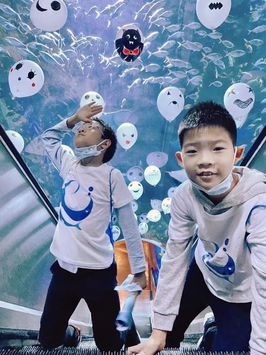 10.25/31/11.15/22/29【海淀·亲子|单飞·夜宿·自驾】北京海洋馆奇妙夜丨“以蔚蓝之名，共赴海洋之约 ” 商品图3