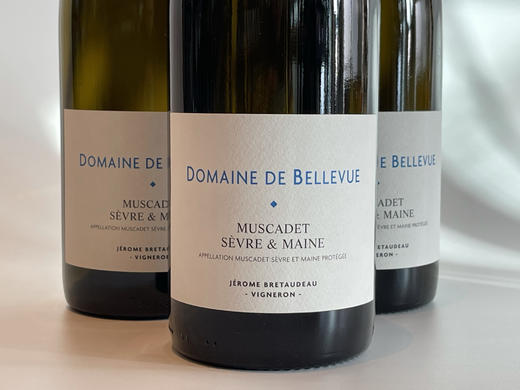 杰罗姆美景园酒庄麝香干白葡萄酒2019 Muscadet Sevre et Maine white Domaine de Bellevue – Jerome Bretaudeau 商品图0