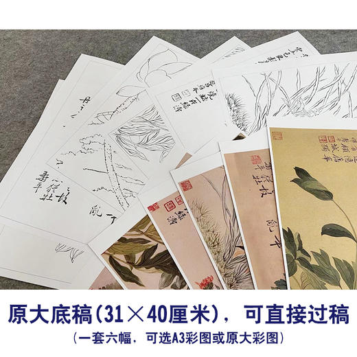 恽寿平没骨工笔花鸟画白描底稿花卉册页小品一套六幅册页尺寸31×40厘米SP95 商品图2